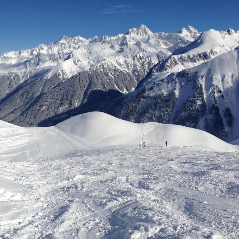 Studio Montagne face aux pistes - Apartamento de 1 dormitorio - 15
