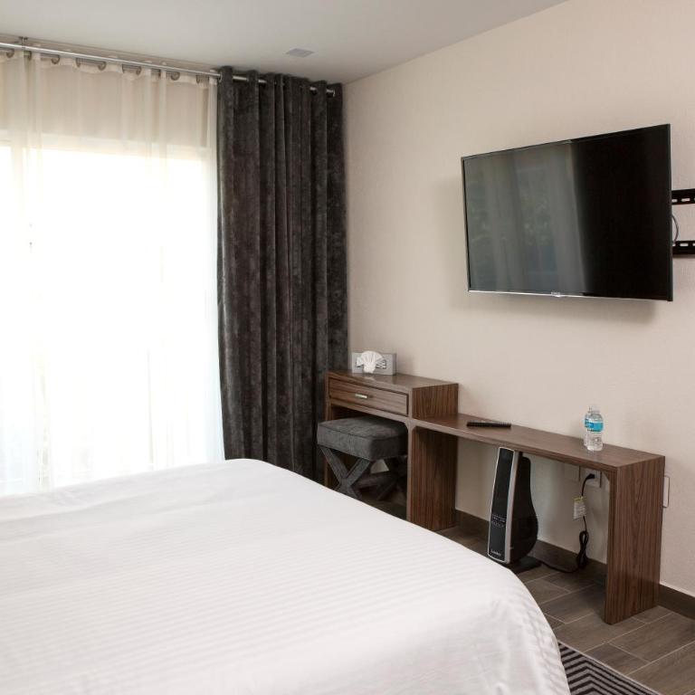 Suites Rio Elba - Executive Suite - 3