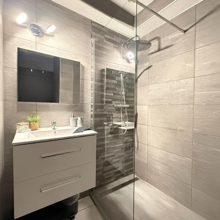 Le Domi Hyper Centre Proche Cols Stations - Appartement 1 Chambre - 2