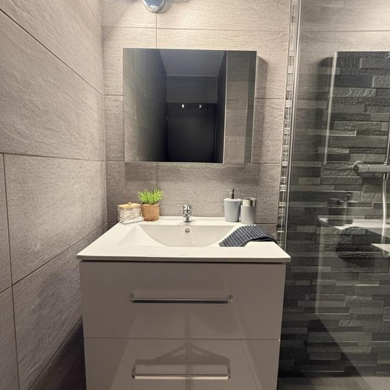 Le Domi Hyper Centre Proche Cols Stations - Appartement 1 Chambre - 13