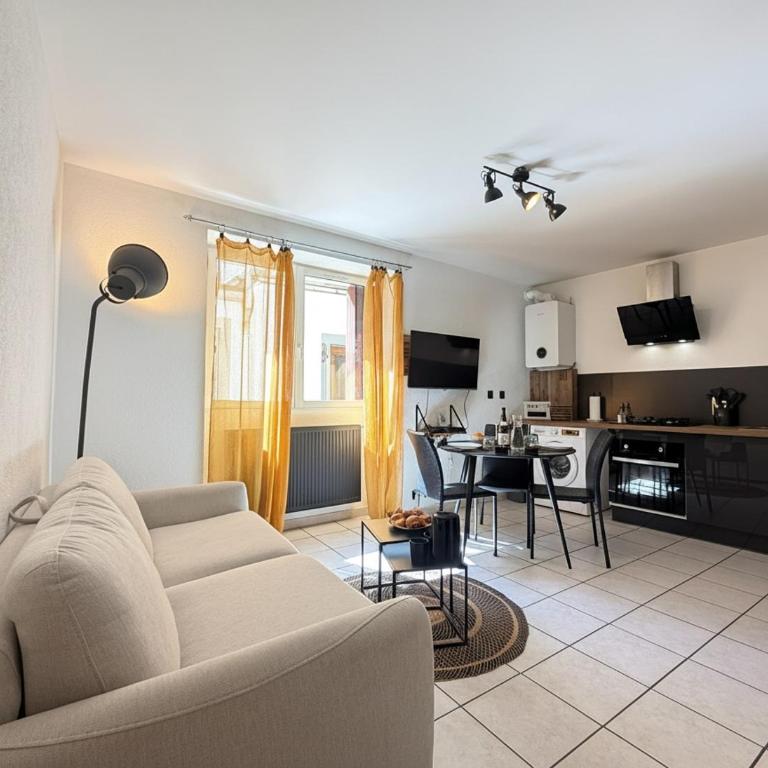 Le Domi Hyper Centre Proche Cols Stations - Appartement 1 Chambre - 28