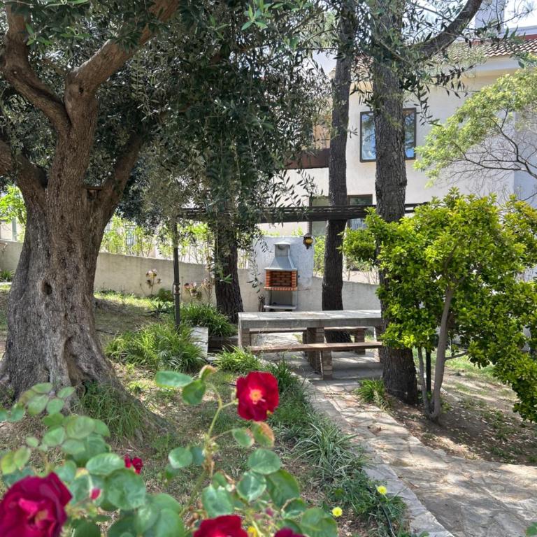 Apartmento Sant Pau 7 - Apartamento - Planta baja - 28