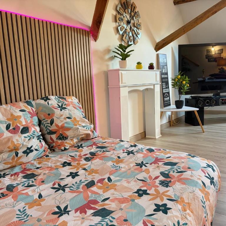 Magnifique loft 3 à 4 personnes tout confort entièrement rénové - Appartement 1 Chambre - 4