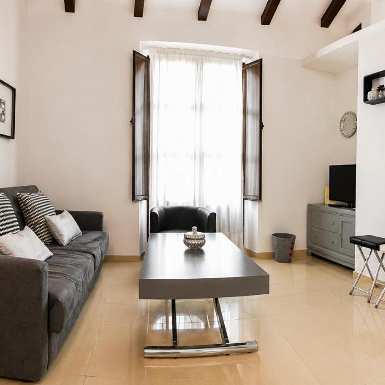 Apartamentos Plaza Nueva - Apartamento Superior de 1 dormitorio - 13