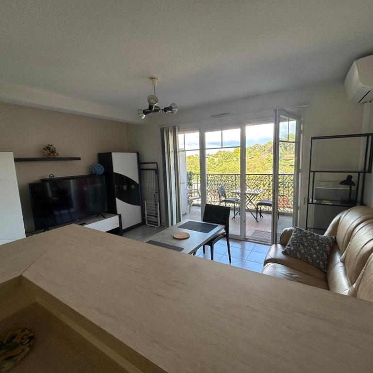 Appartement T2 - Appartement 1 Chambre - 9