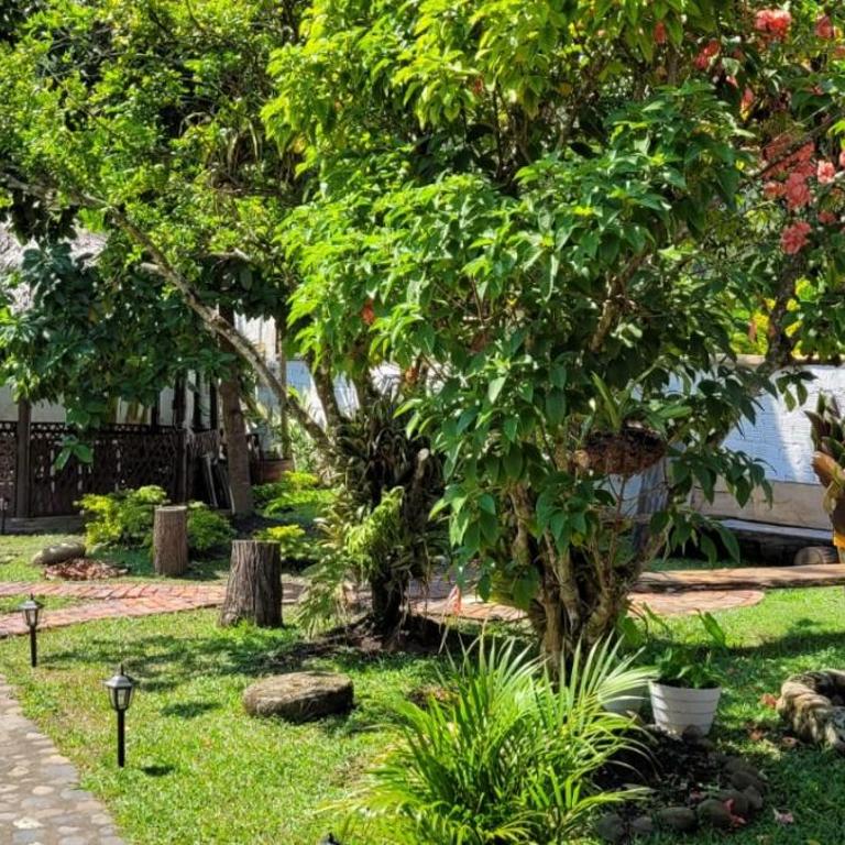 La Casa de La Abuela - Casa - 10