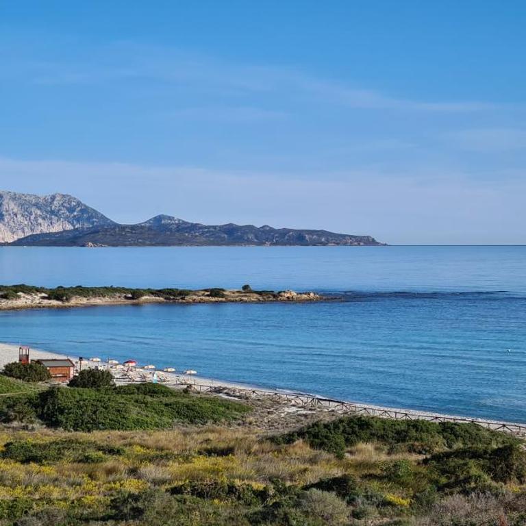 Bilocale Bianco Tamerici - One-Bedroom Apartment with Garden View - 23