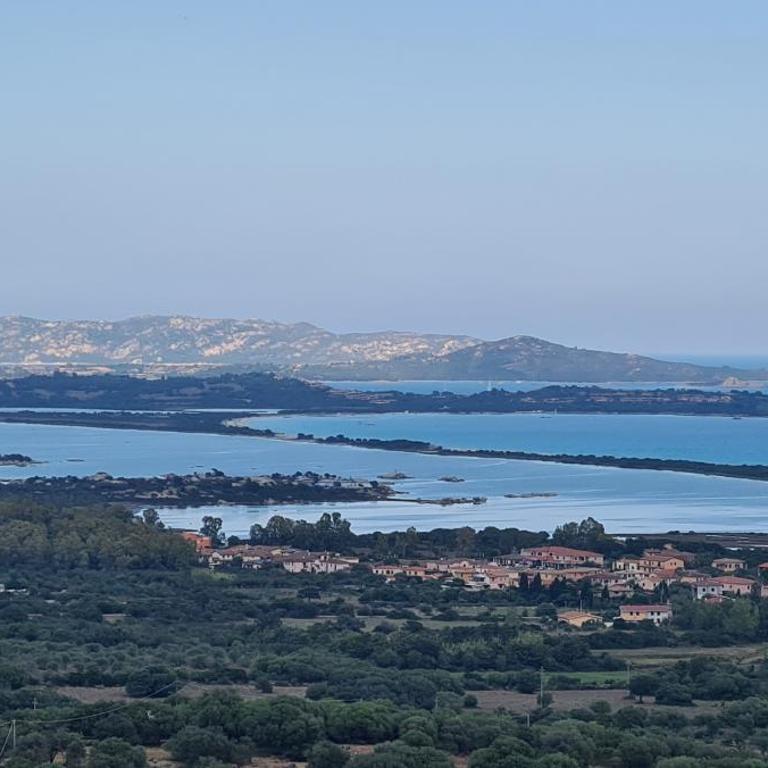 Bilocale Bianco Tamerici - One-Bedroom Apartment with Garden View - 29