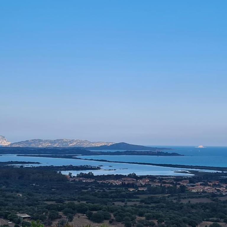 Bilocale Bianco Tamerici - One-Bedroom Apartment with Garden View - 25