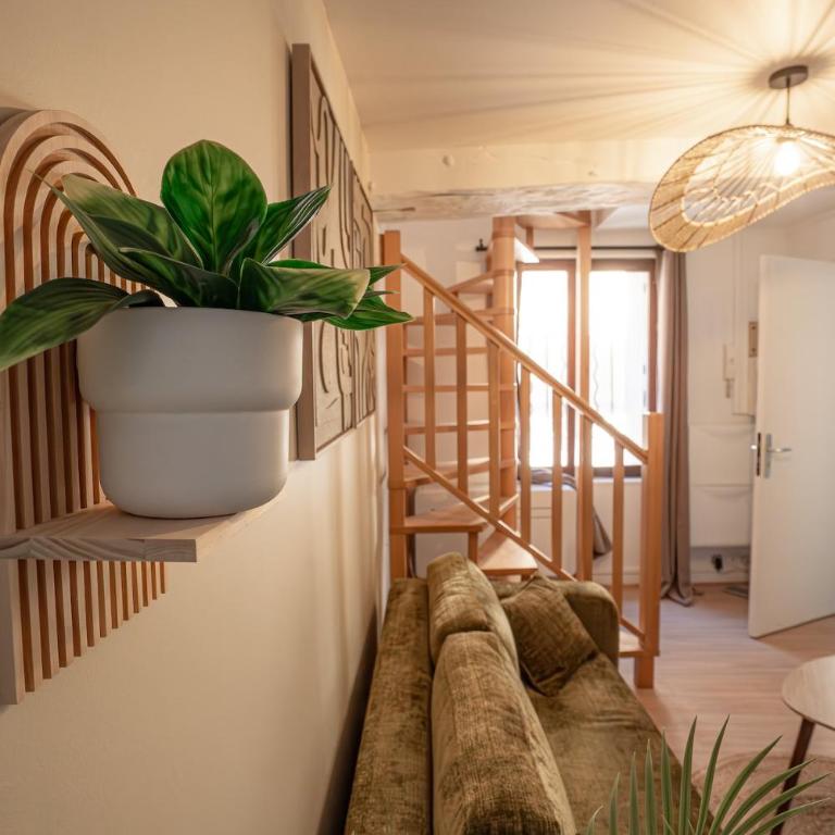 L écrin Vert Duplex cosy Hypercentre Rouen - One-Bedroom Apartment - 16