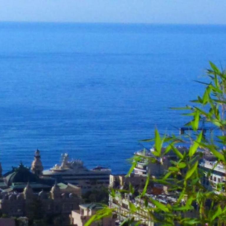 EXQUISITE APARTMENT for DREAM HOLIDAY MONACO GRAND Prix - Appartement 1 Chambre - 33