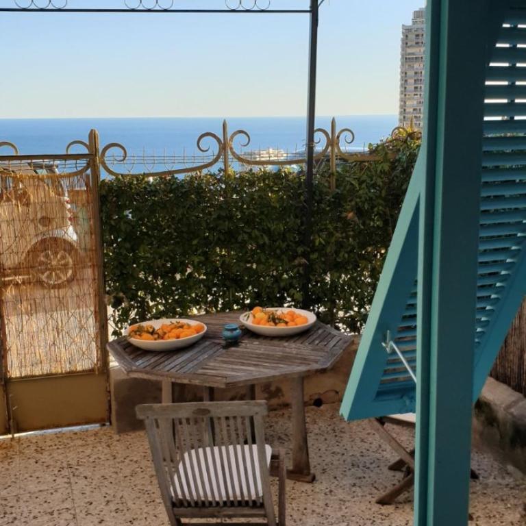 EXQUISITE APARTMENT for DREAM HOLIDAY MONACO GRAND Prix - Appartement 1 Chambre - 41