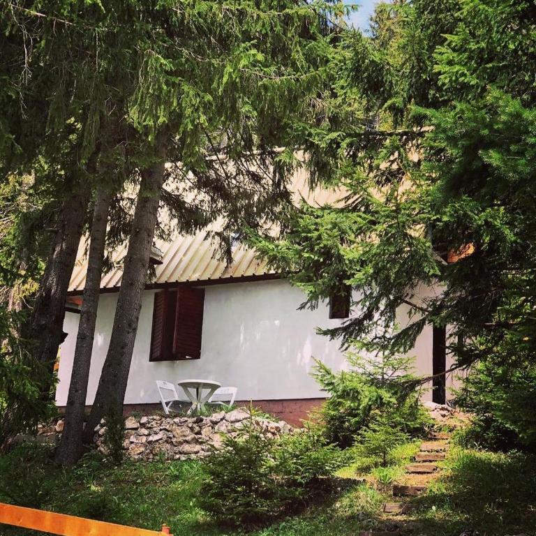 Black Lake House Dajovic - Kuća sa 2 Spavaće Sobe - 1