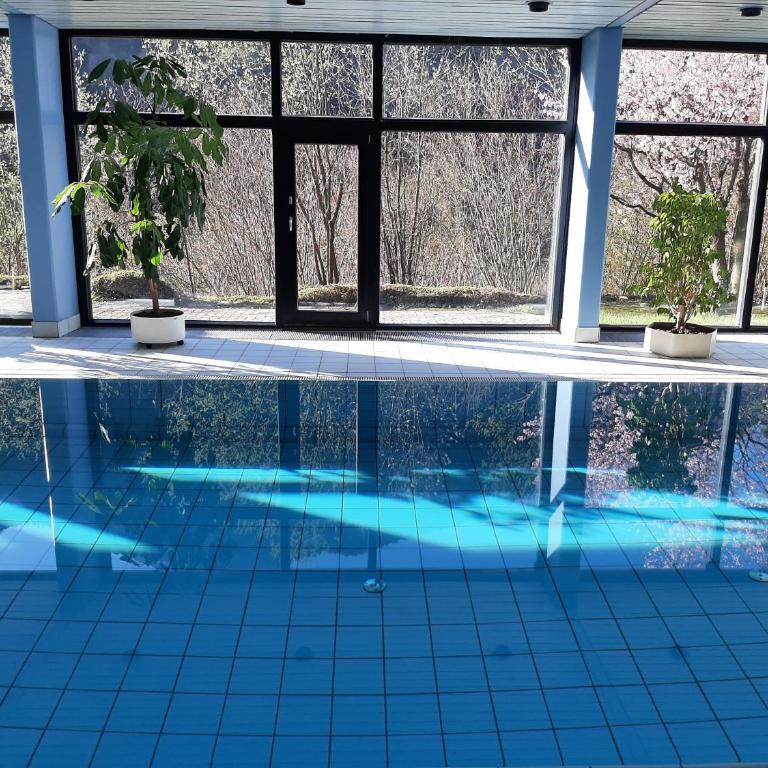 Alpenschwänchen Luxus - Mozartschwänchen - Apartment - 10