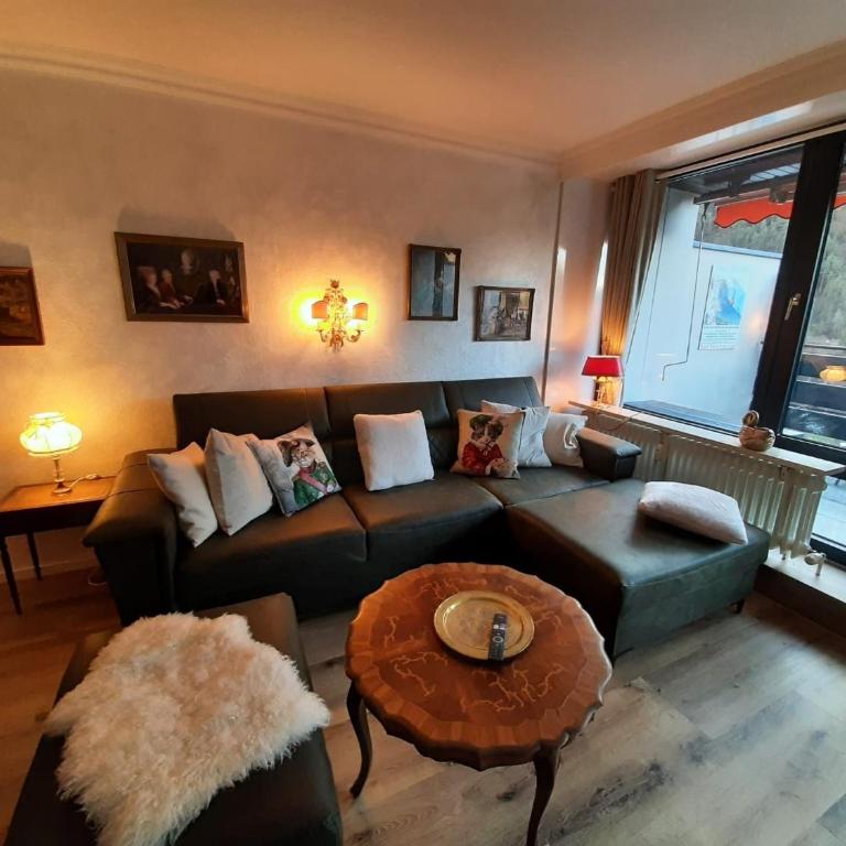 Alpenschwänchen Luxus - Mozartschwänchen - Apartment - 31