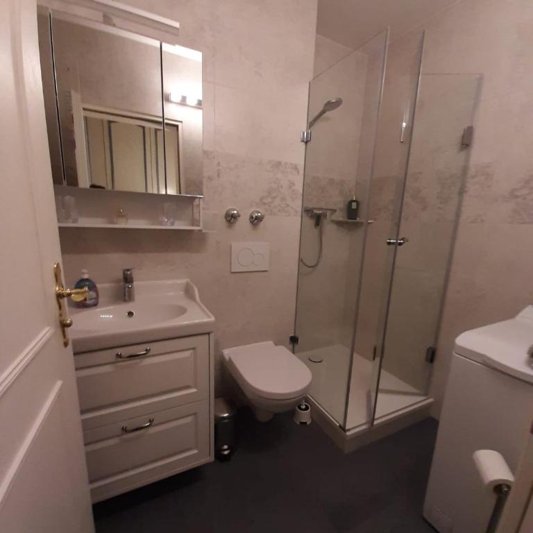 Alpenschwänchen Luxus - Mozartschwänchen - Apartment - 35
