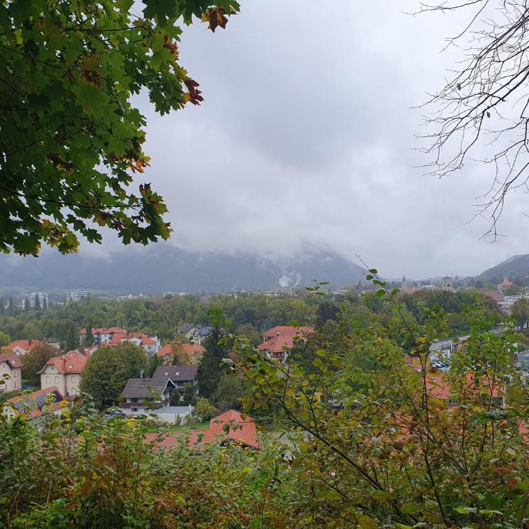 Alpenschwänchen Luxus - Mozartschwänchen - Apartment - 44