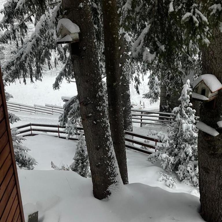 Black Lake House Dajovic - Kuća sa 2 Spavaće Sobe - 3
