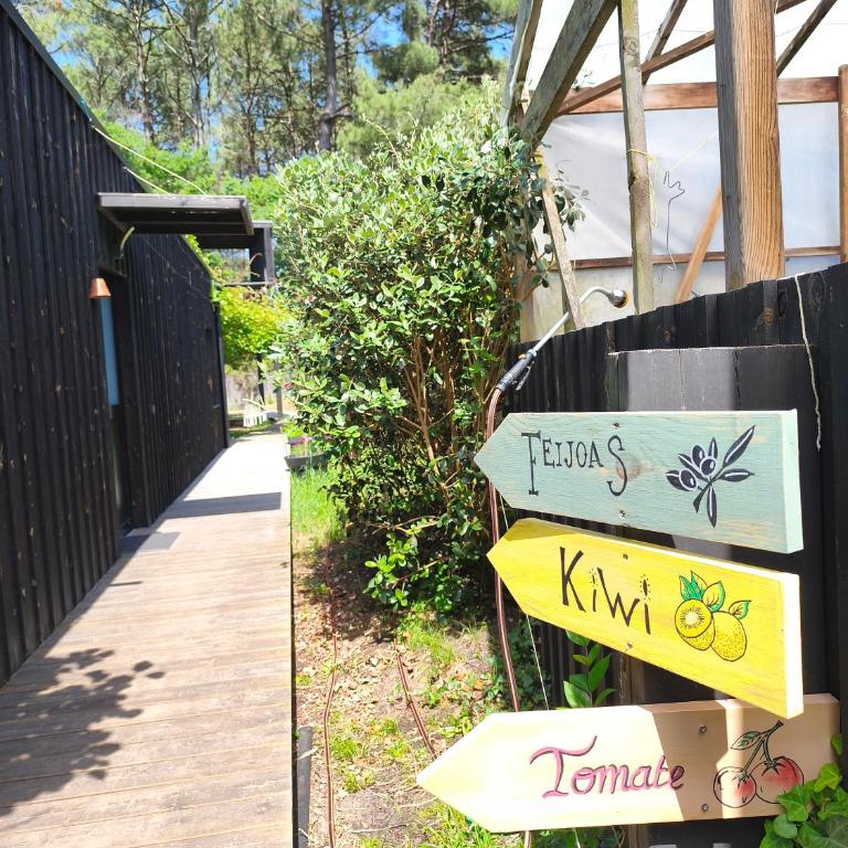 Eco-lodges Lacanau Moutchic Inn - 4 pers - Apartment with Terrace - 11
