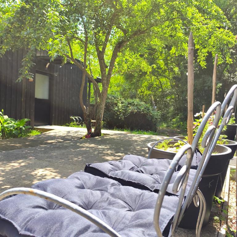 Eco-lodges Lacanau Moutchic Inn - 4 pers - Apartment with Terrace - 4