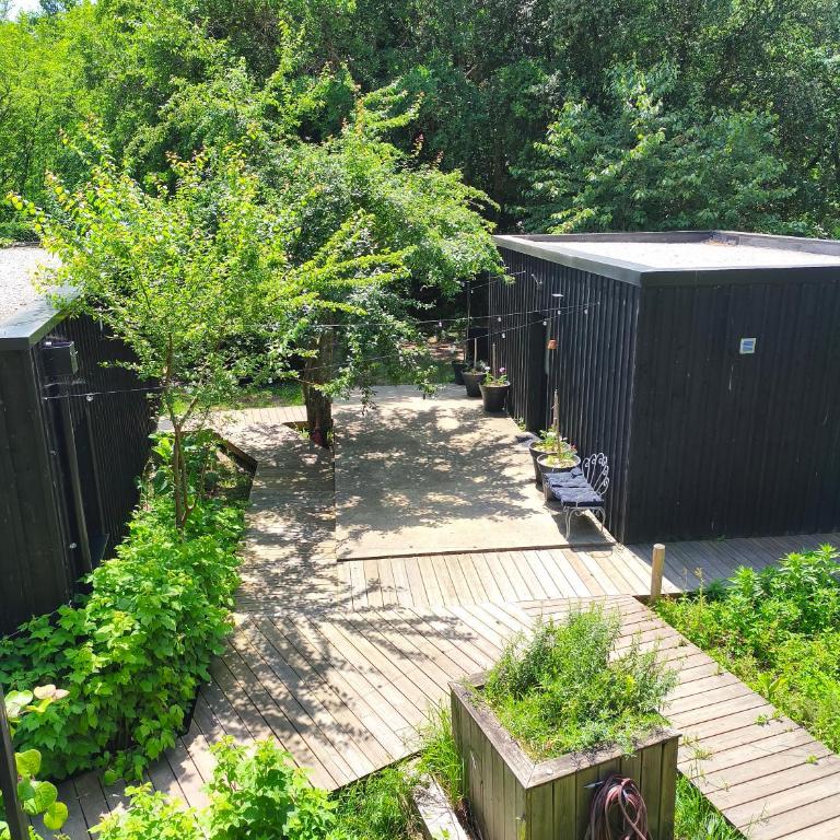 Eco-lodges Lacanau Moutchic Inn - 4 pers - Apartment with Terrace - 2