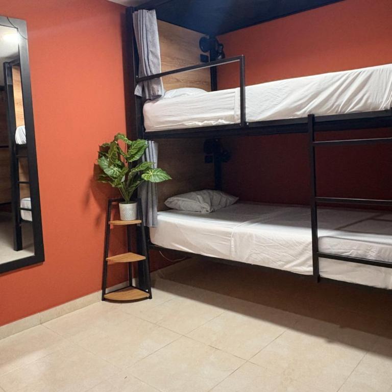 Bohemia Boutique Hostel - Cama Individual en dormitorio compartido de 6 camas - 4