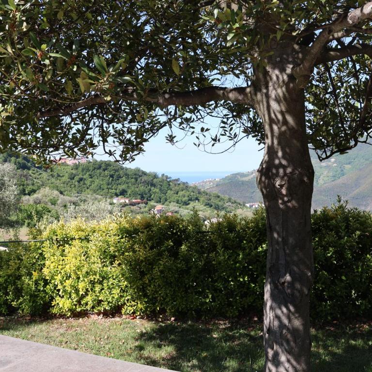 Vento di Mare villa apartment nel verde con AC e parcheggio - Appartamento con 3 Camere da Letto - 27