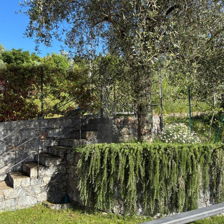 Vento di Mare villa apartment nel verde con AC e parcheggio - Appartamento con 3 Camere da Letto - 28