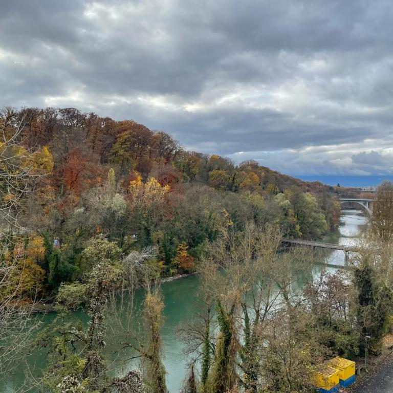 Beautiful 2 bedrooms Apartment in Geneva - Arenieres - Appartement 2 Chambres - 13
