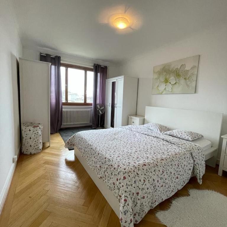 Beautiful 2 bedrooms Apartment in Geneva - Arenieres - Appartement 2 Chambres - 10