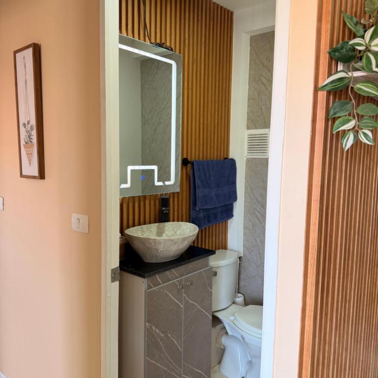 Dep cercano a carretera 5 , 3H 1,5 baños , wifi , parking privado - Apartamento - 15