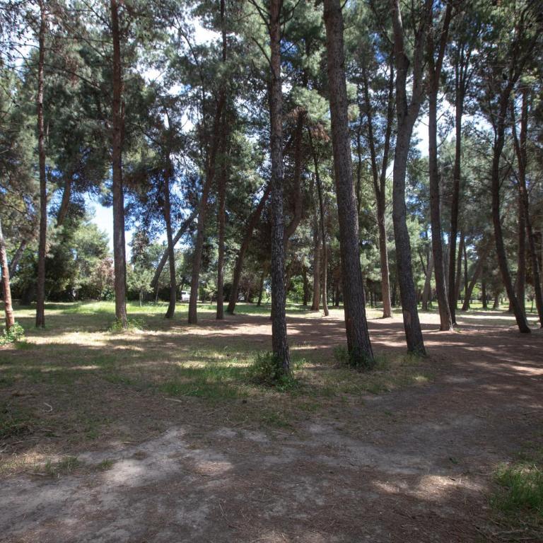 Verdemare House - Luminoso appartamento sulla riviera pescarese a 2 passi dal mare - Two-Bedroom Apartment - 46