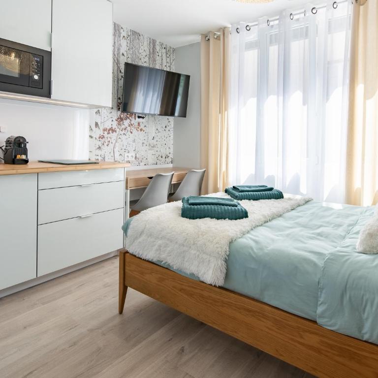 Appartement Saison - Saint Étienne - La Terrasse - Studio - 1