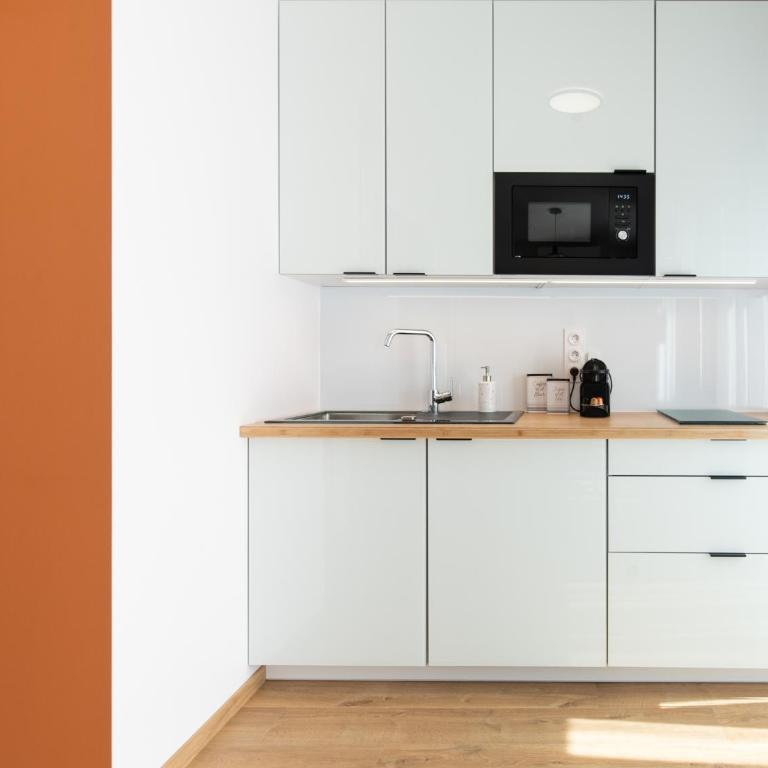 Appartement Saison - Saint Étienne - La Terrasse - Appartement 1 Chambre - 13