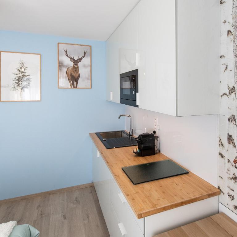 Appartement Saison - Saint Étienne - La Terrasse - Studio - 17