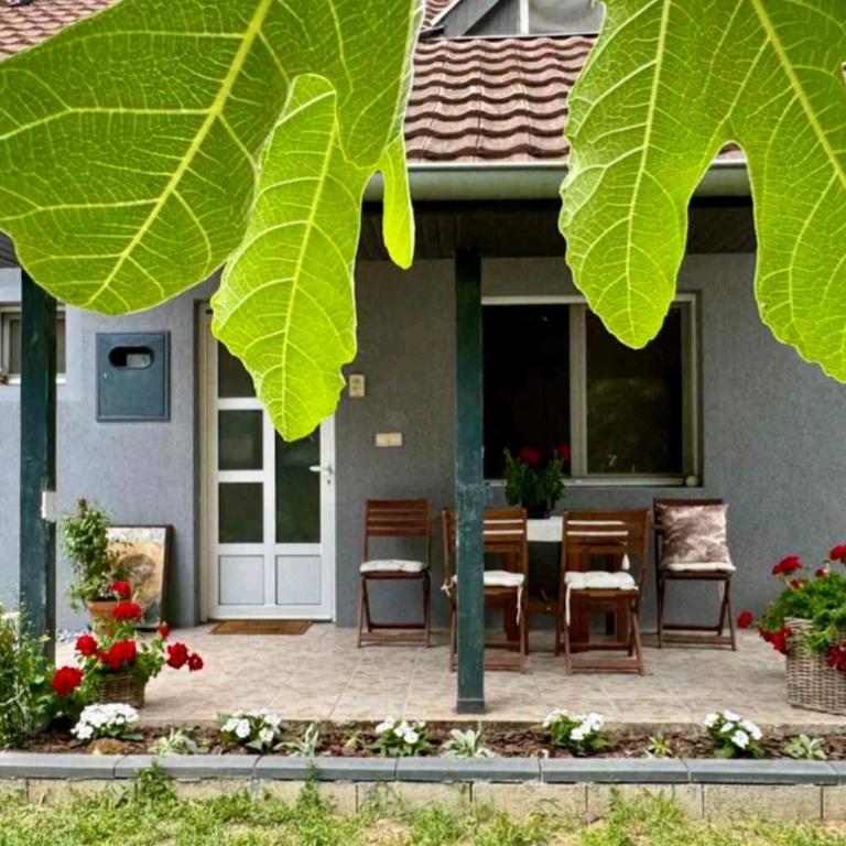 Prostrana moderna kuca u centru- 2 spavaće sobe, parking u dvoristu - Apartman sa 2 Spavaće Sobe - 5