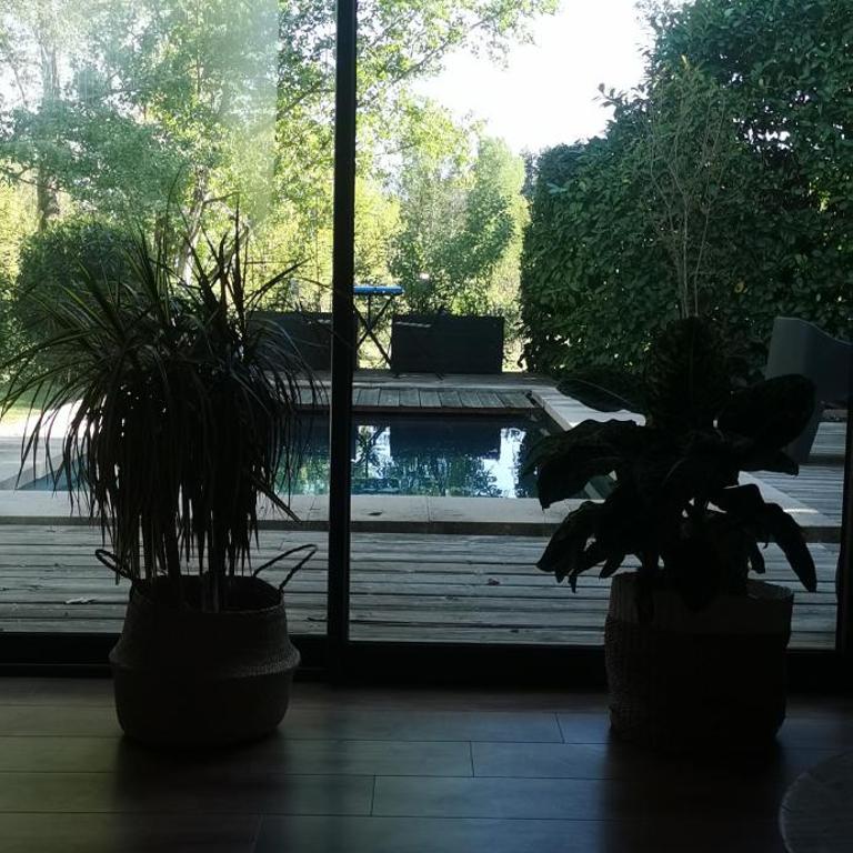 Maison contemporaine avec piscine dans la verdure - Villa 1 Chambre - 3