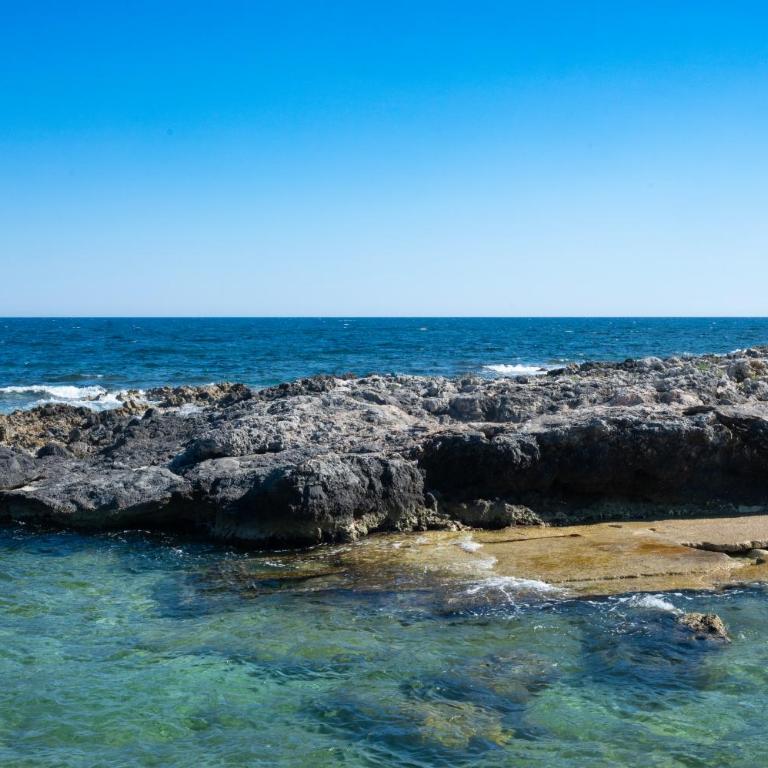 Villa Zagara - Villa Fronte Spiaggia - 32