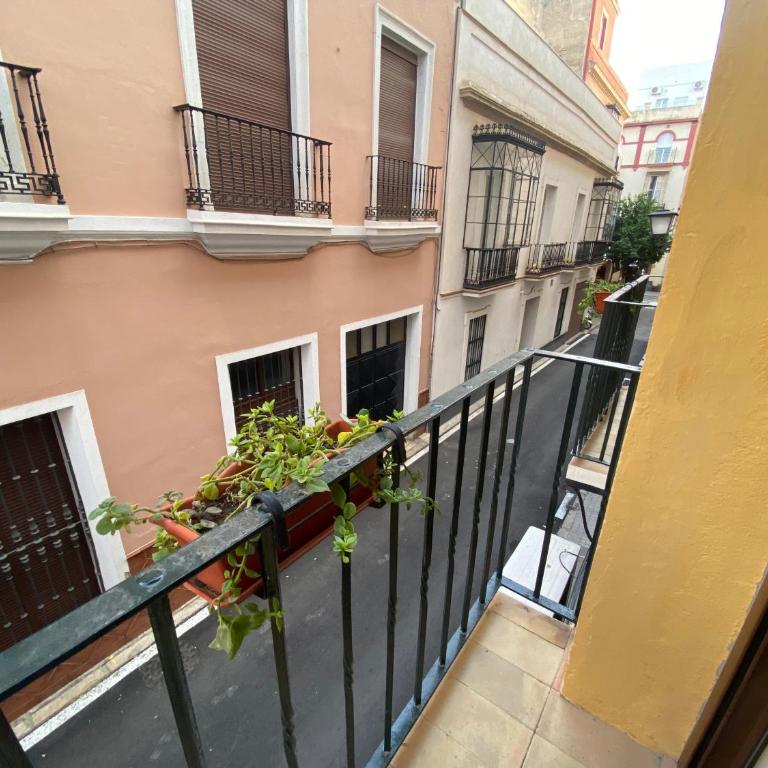 AZAHAR MUSEO - Apartamento de 2 dormitorios - 20