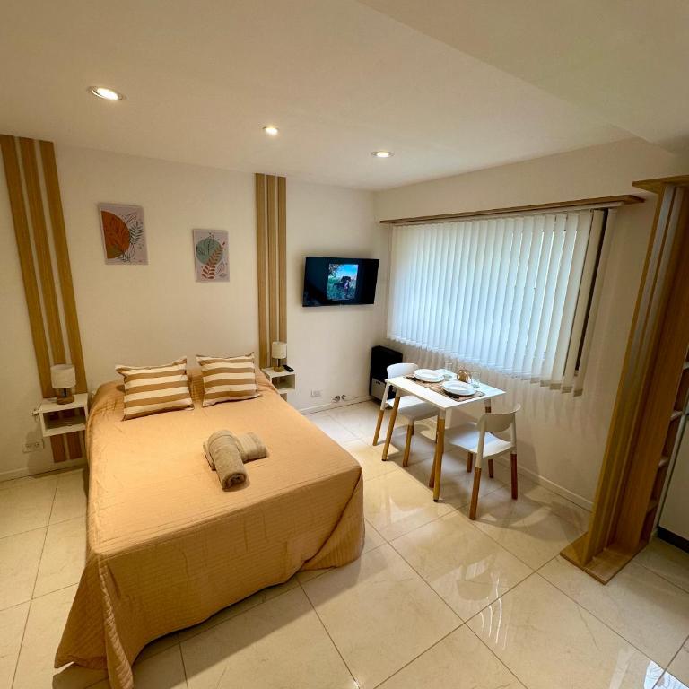 A ESTRENAR Monoambiente Centro - Apartamento de 1 dormitorio - 15