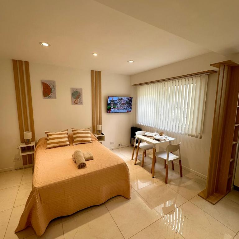 A ESTRENAR Monoambiente Centro - Apartamento de 1 dormitorio - 25