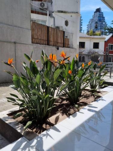 Elegante apartamento en Palermo - Apartamento Estudio con balcón - 30