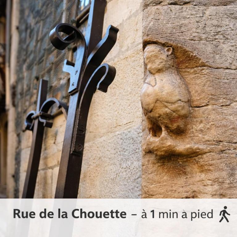 Duplex caveau bourguignon- Centre historique Dijon - Appartement en Duplex - 18