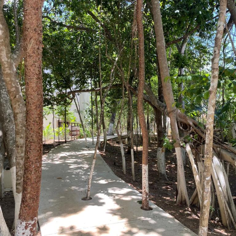 Bonito depto Playa del Carmen 2hab2bañ y varias amenidades - Apartamento de 1 dormitorio - 12