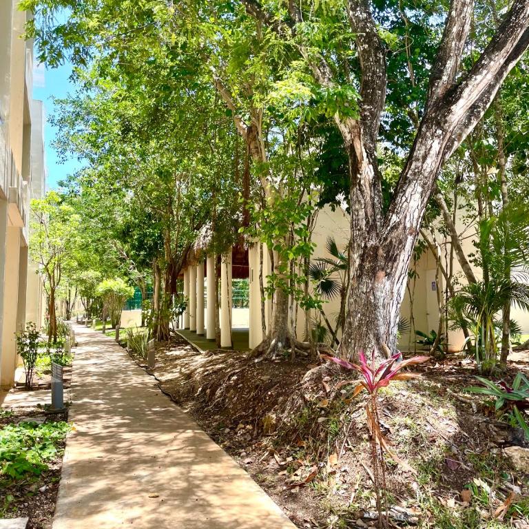 Bonito depto Playa del Carmen 2hab2bañ y varias amenidades - Apartamento de 1 dormitorio - 13