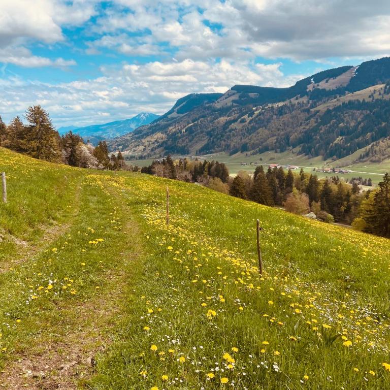 Ferienwohnung "Allgäu Glück" - Apartment mit 2 Schlafzimmern - 16