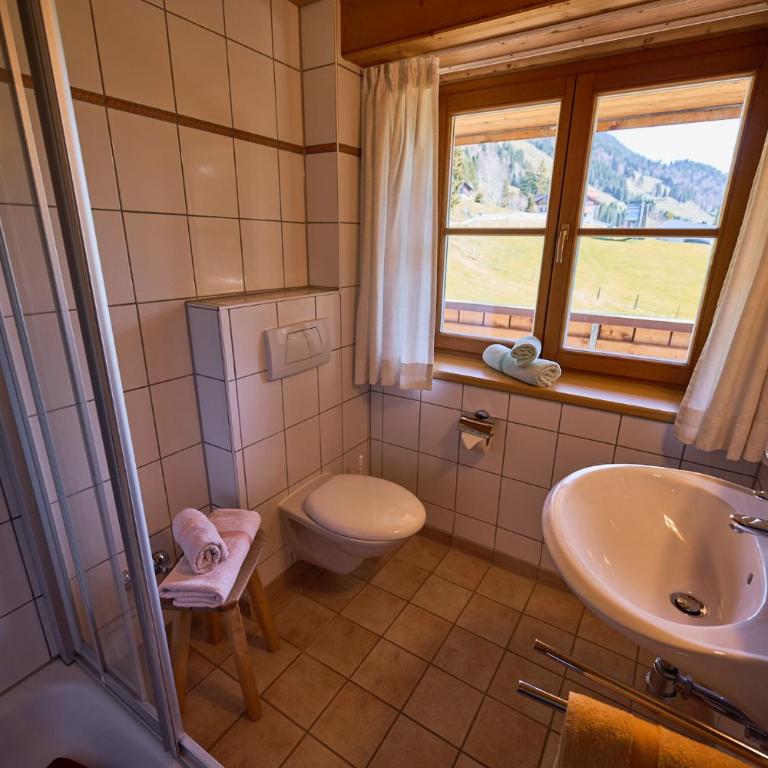 Ferienhof Almfrieden - Apartment mit 1 Schlafzimmer und Dusche - 4