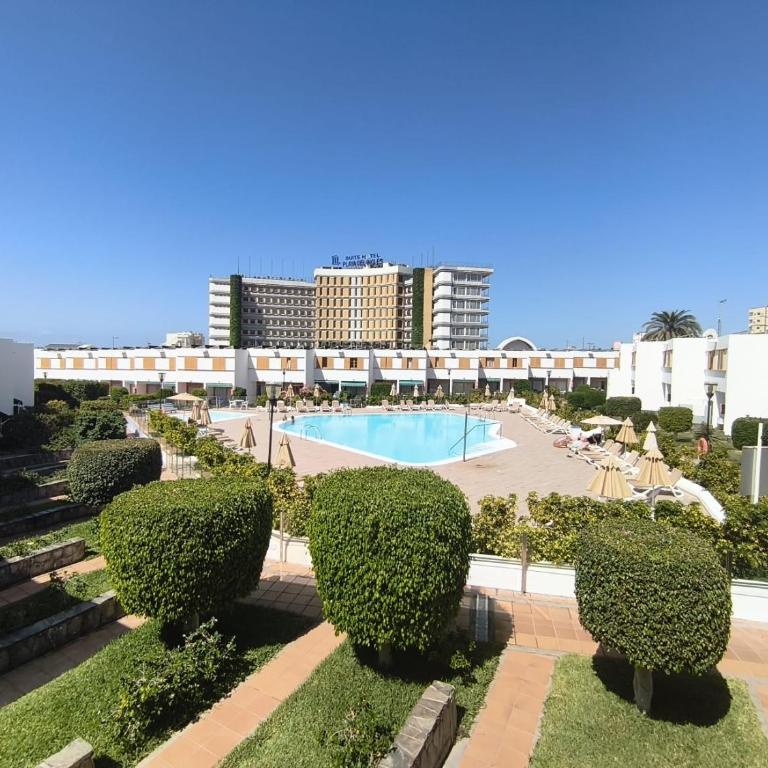 LAS BRISAs - Two-Bedroom Apartment - 1