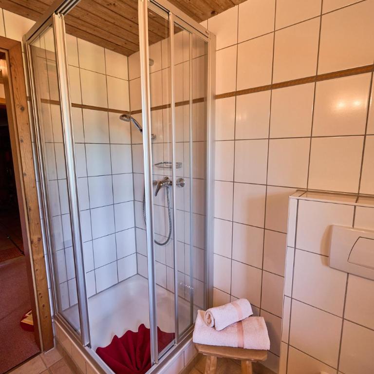 Ferienhof Almfrieden - Apartment mit 1 Schlafzimmer und Dusche - 4