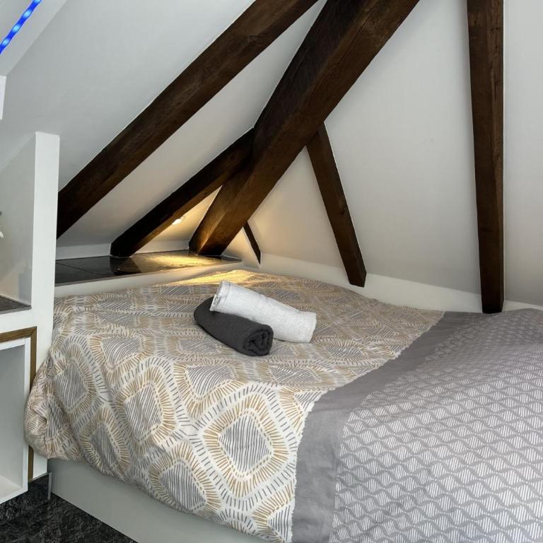 L'excellence a strasbourg - Appartamento con 1 Camera da Letto - 10